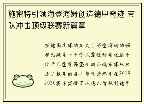 施密特引领海登海姆创造德甲奇迹 带队冲击顶级联赛新篇章 施密特引领海登海姆创造德甲奇迹 带队冲击顶级联赛新篇章