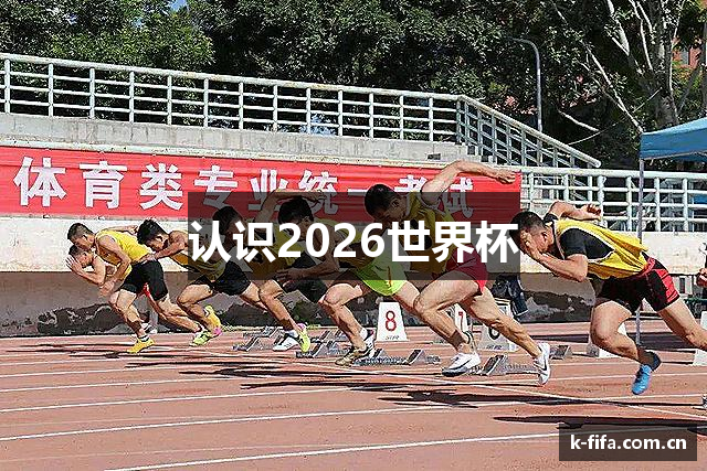 认识2026世界杯